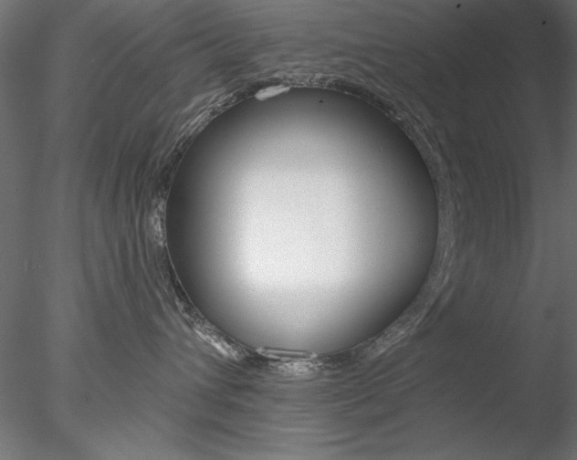 X0000078270432200611030955