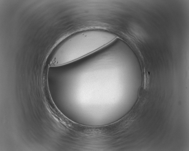 X0000078270435200611030954