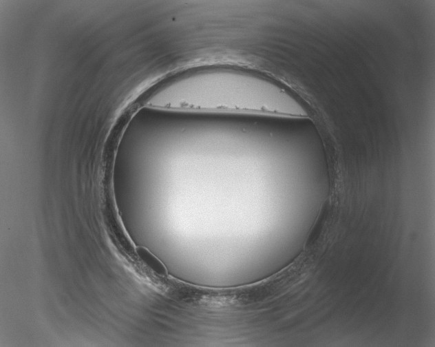 X0000078270440200611030955