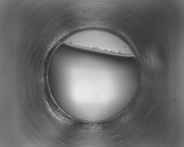 X0000078270443200611030955