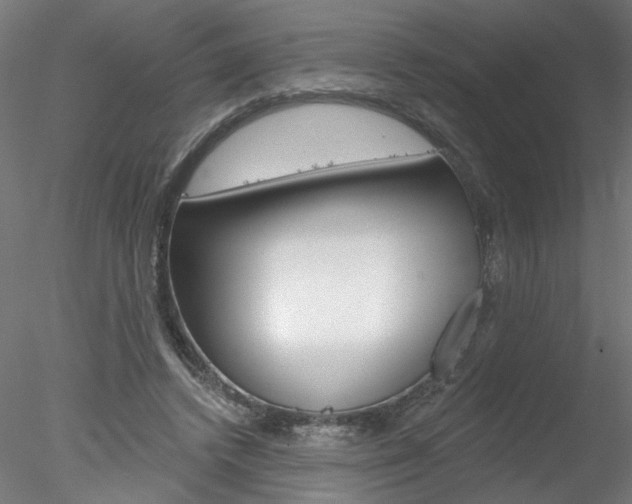 X0000078270448200611030955