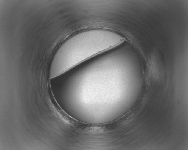 X0000078270449200611030955