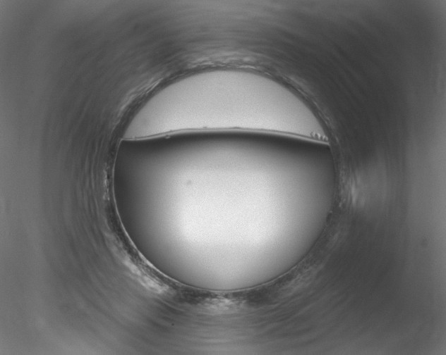 X0000078270453200611030955