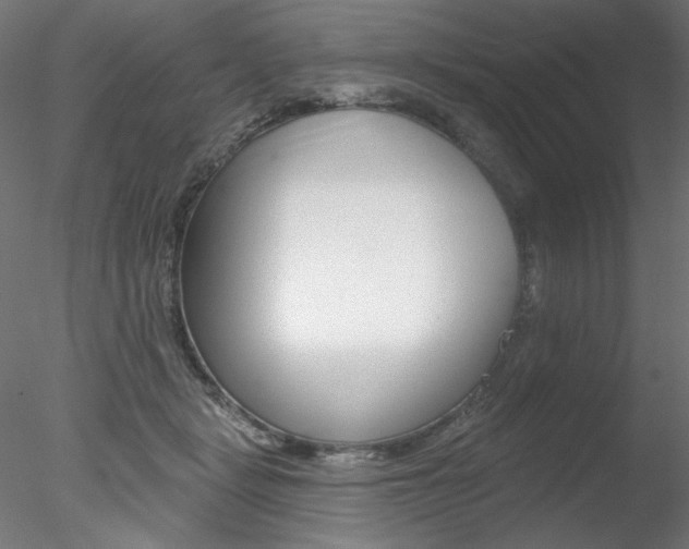 X0000078270461200611030955