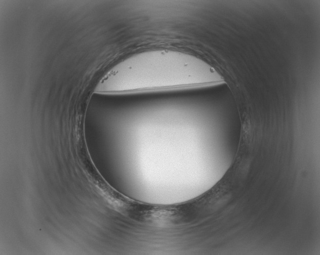 X0000078270462200611030955