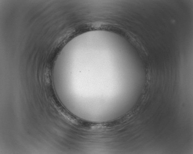 X0000078270470200611030955