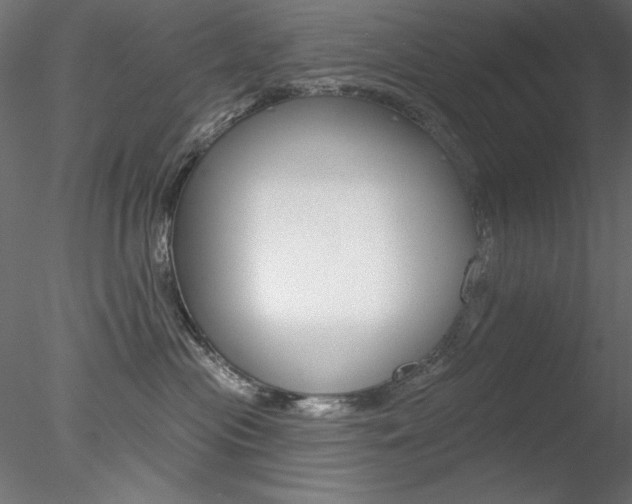 X0000078270477200611030955