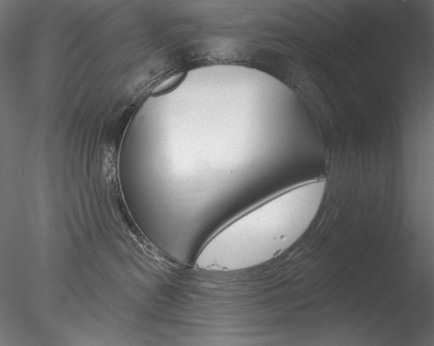 X0000078270478200611030955