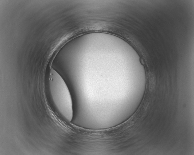 X0000078270482200611030954