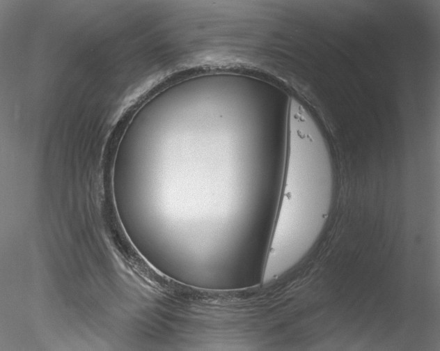 X0000078270488200611030954