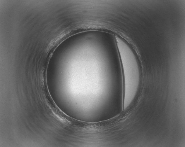 X0000078270489200611030954