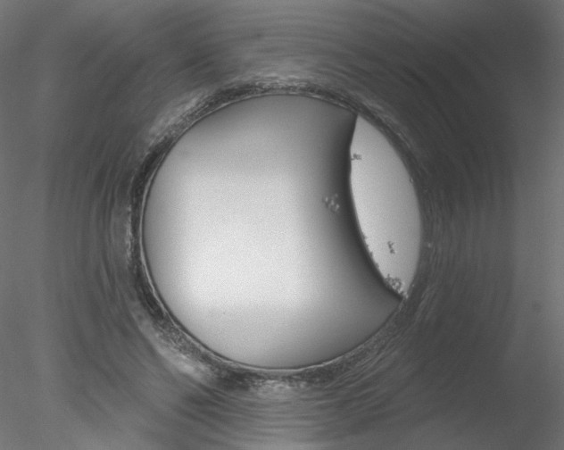 X0000078270494200611030954