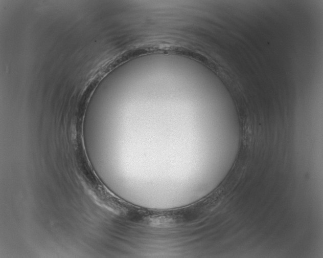 X0000078270500200611030954