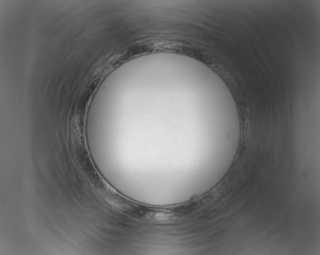 X0000078270506200611030954