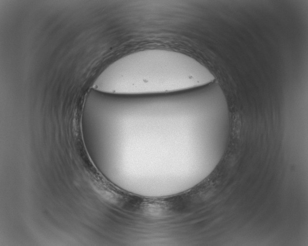 X0000078270510200611030954