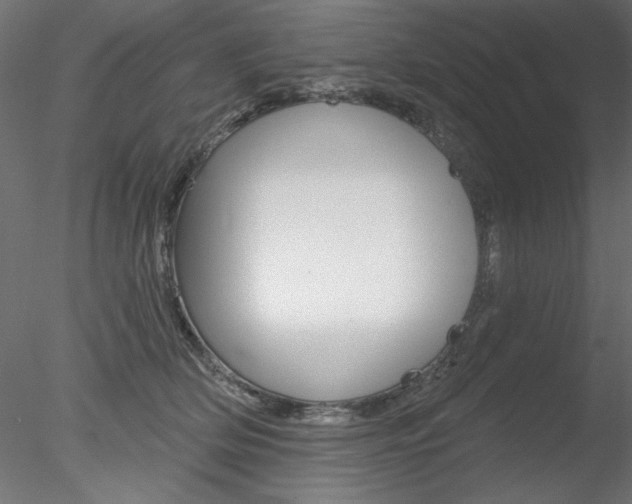 X0000078270514200611030954