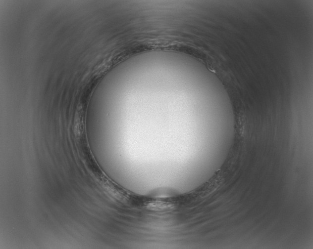 X0000078270515200611030954
