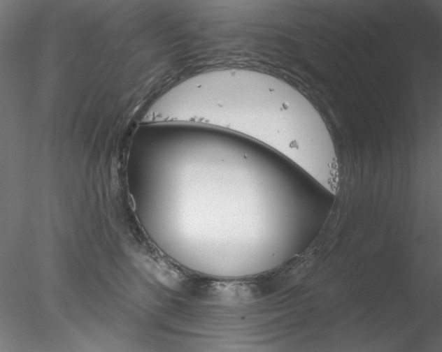 X0000078270520200611030954