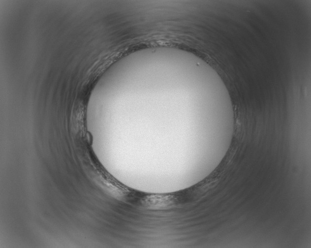 X0000078270526200611030954