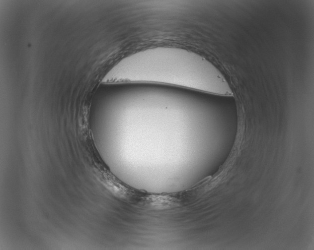 X0000078270528200611030954