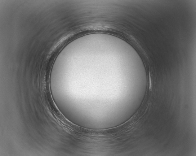 X0000078270531200611030953