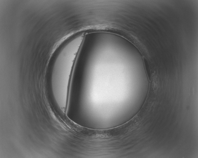 X0000078270536200611030953