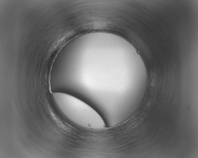 X0000078270542200611030953