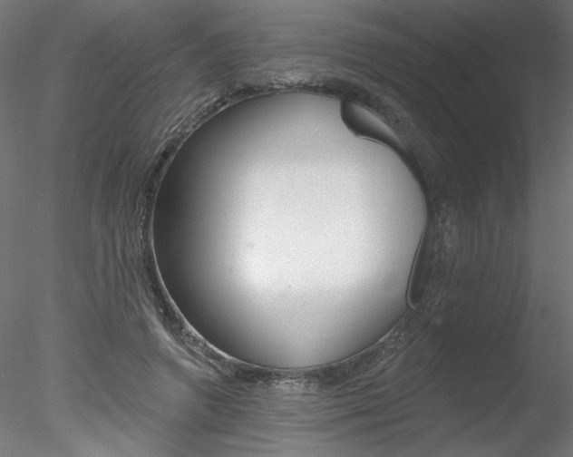 X0000078270546200611030953