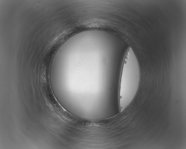 X0000078270547200611030953