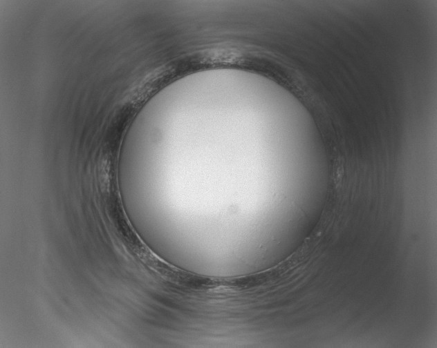 X0000078270551200611030953
