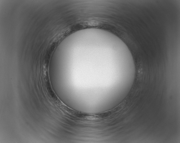 X0000078270555200611030953