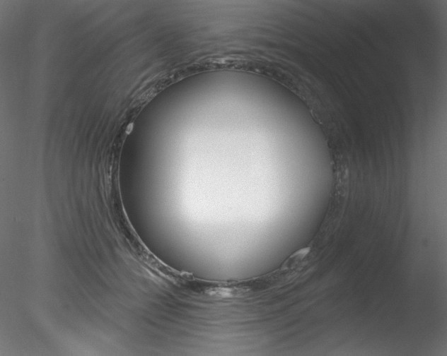X0000078270558200611030953