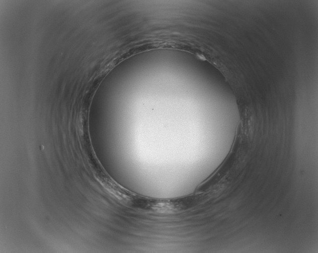 X0000078270562200611030953