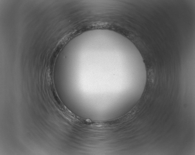 X0000078270564200611030953