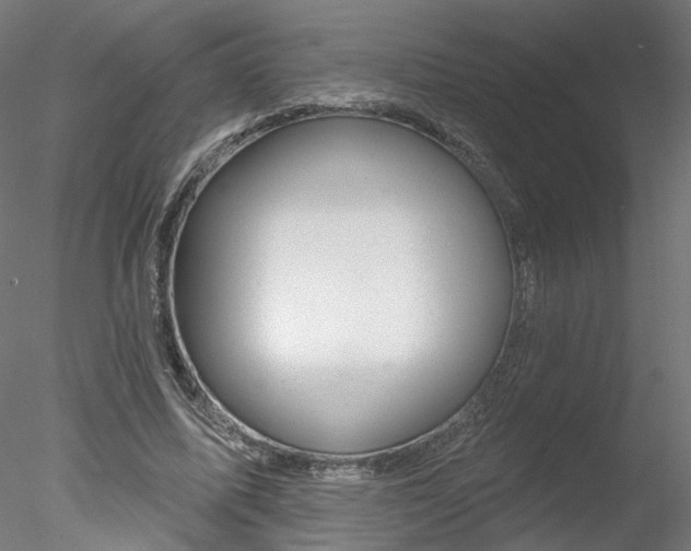 X0000078270587200611030953