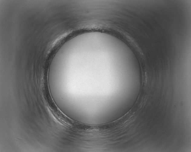 X0000078270588200611030953