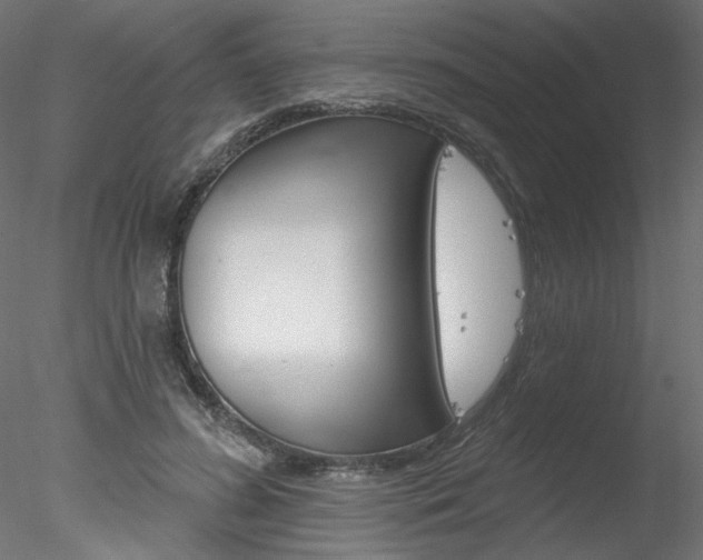 X0000078270596200611030952