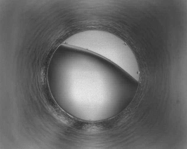 X0000078270597200611030952