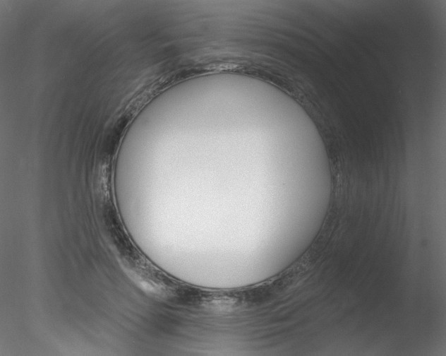 X0000078270598200611030952