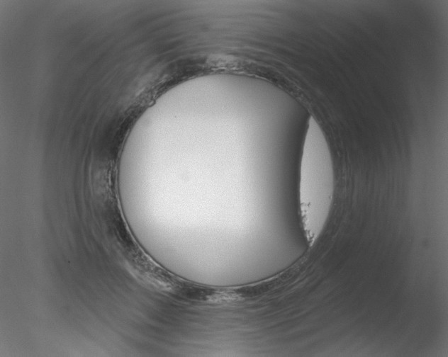 X0000078270603200611030952