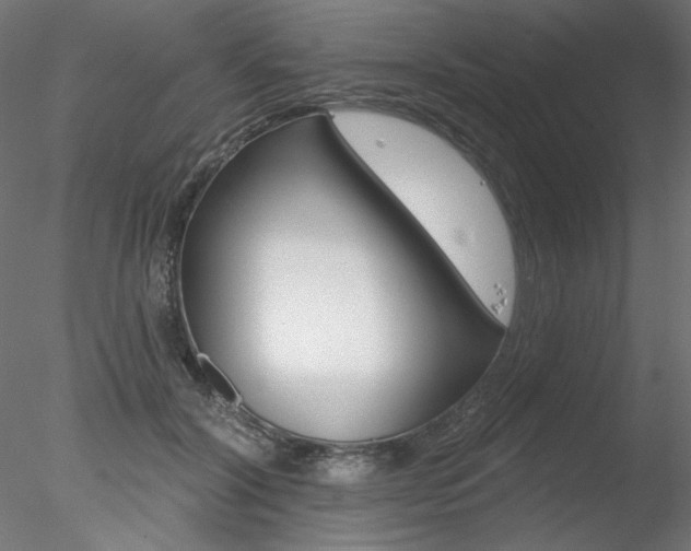 X0000078270604200611030952