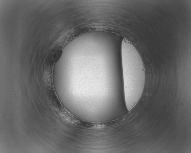 X0000078270609200611030952