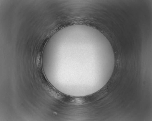 X0000078270610200611030952