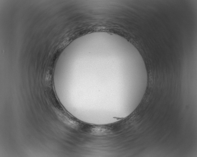 X0000078270614200611030952