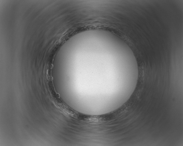 X0000078270615200611030952