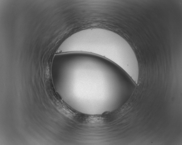 X0000078270617200611030952