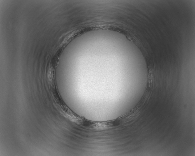 X0000078270623200611030952