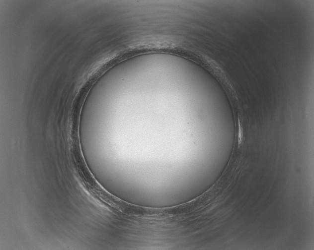 X0000078270627200611030951