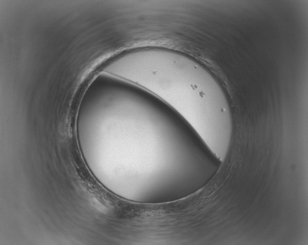 X0000078270628200611030951