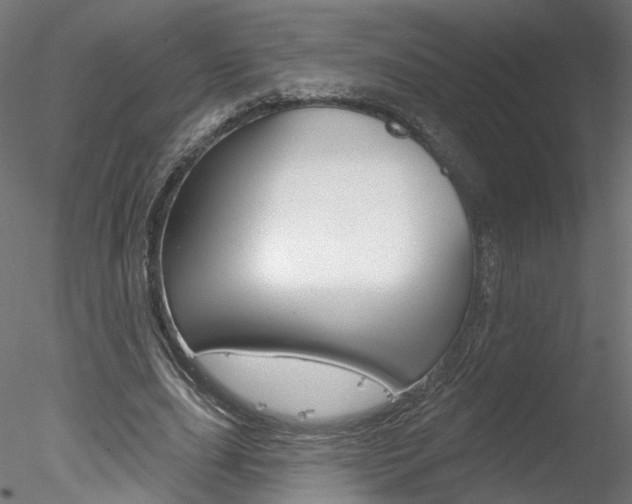 X0000078270631200611030951